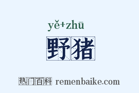 野猪是什么意思的图片